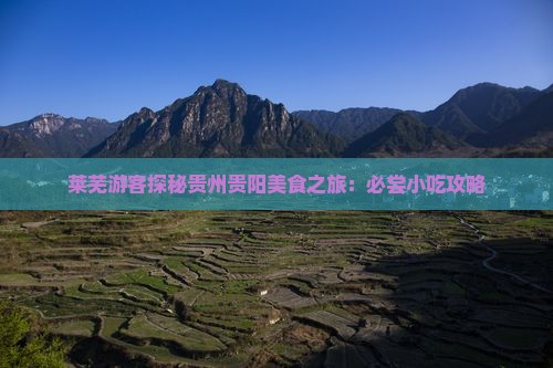 莱芜游客探秘贵州贵阳美食之旅：必尝小吃攻略