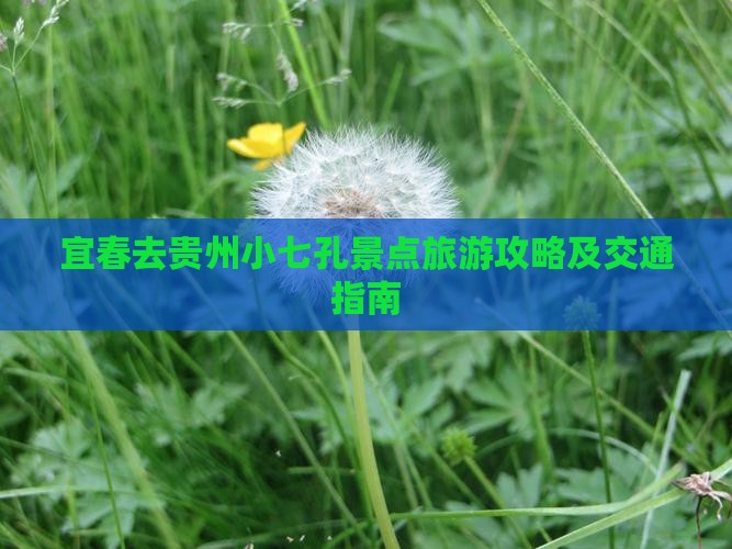 宜春去贵州小七孔景点旅游攻略及交通指南