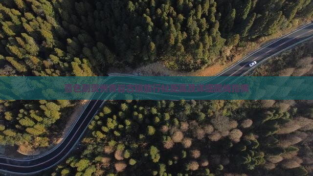 百色到贵州青岩古镇旅行社距离及详细路线指南