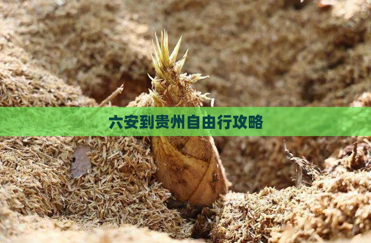 六安到贵州自由行攻略