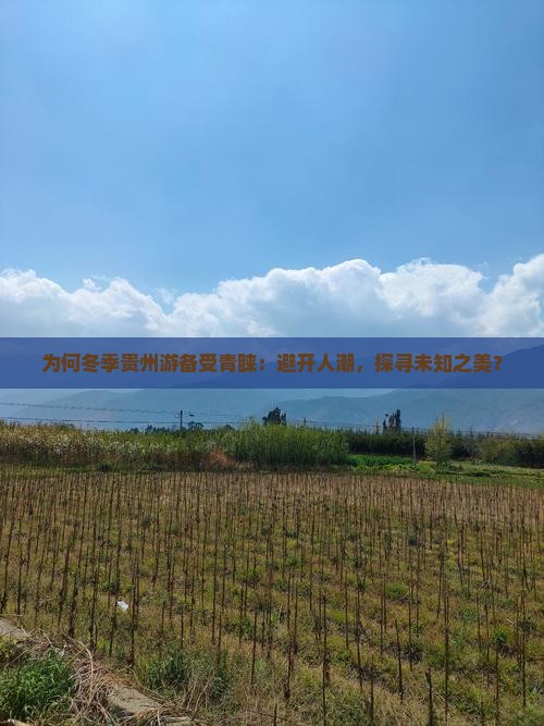为何冬季贵州游备受青睐：避开人潮，探寻未知之美？