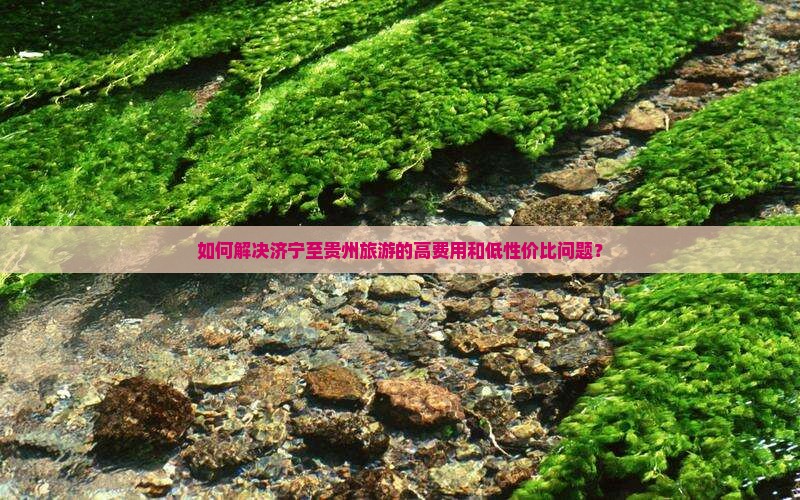 如何解决济宁至贵州旅游的高费用和低性价比问题？