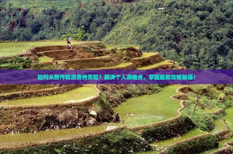如何从焦作畅游贵州贵阳？解决个人游痛点，掌握最新攻略秘籍！