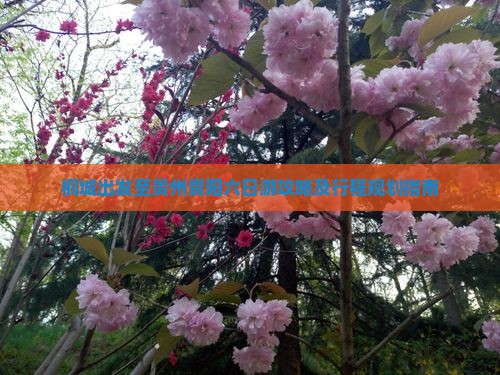 桐城出发至贵州贵阳六日游攻略及行程规划指南