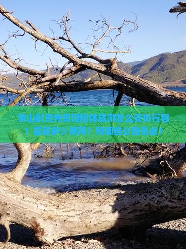 黄山到贵州贵阳团体旅游怎么安排行程？需要多少费用？有哪些必看景点？