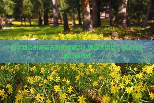 四平到贵州青岩古镇团体旅游？团建太麻烦？试试社交+旅行新模式