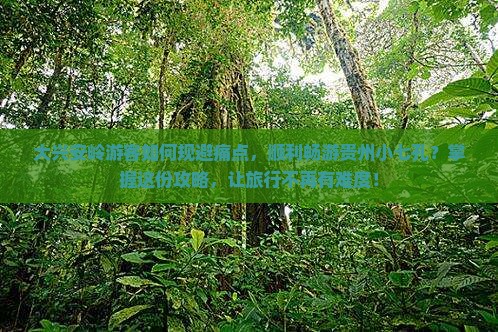 大兴安岭游客如何规避痛点，顺利畅游贵州小七孔？掌握这份攻略，让旅行不再有难度！
