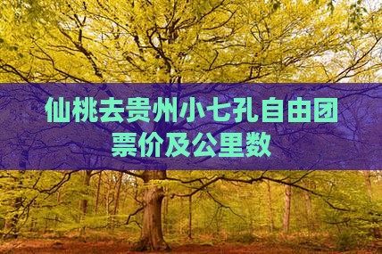 仙桃去贵州小七孔自由团票价及公里数
