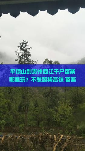 平顶山到贵州西江千户苗寨哪里玩？不愁路稀高铁+苗寨深度游