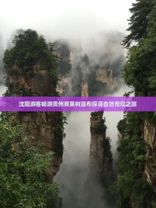 沈阳游客畅游贵州黄果树瀑布探寻自然奇观之旅
