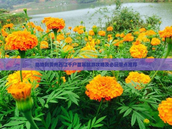 临猗到贵州西江千户苗寨旅游攻略及必玩景点推荐