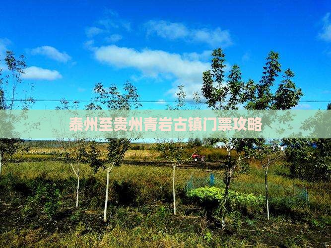 泰州至贵州青岩古镇门票攻略