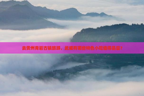 去贵州青岩古镇旅游，武威有哪些特色小吃值得品尝？