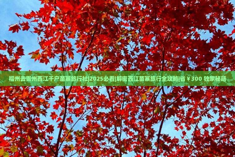 福州去贵州西江千户苗寨旅行社