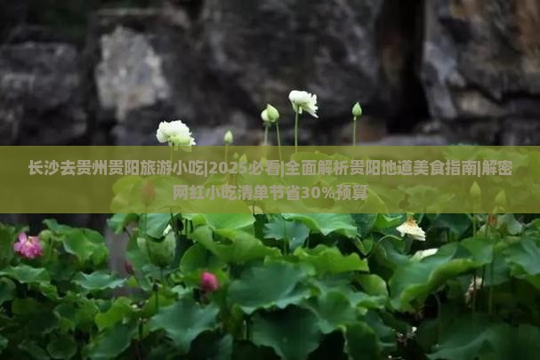 长沙去贵州贵阳旅游小吃