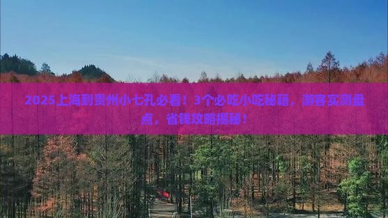 上海到贵州小七孔旅游小吃
