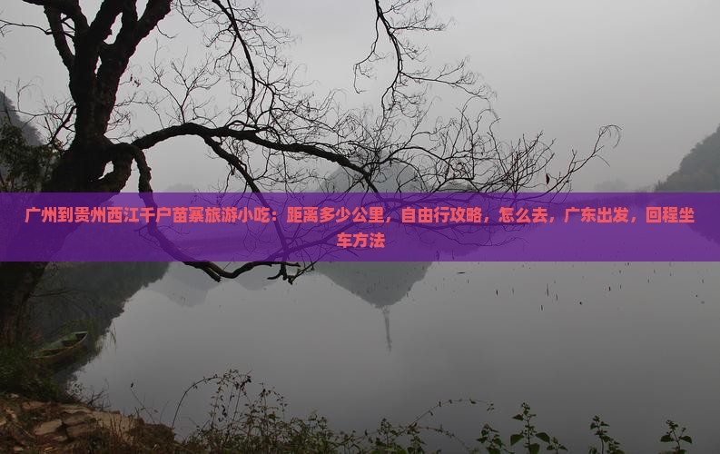 广州到贵州西江千户苗寨旅游小吃