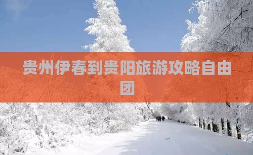 伊春到贵州贵阳自由团 伊春到贵州贵阳自由团