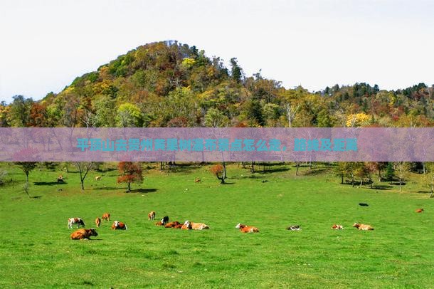 平顶山去贵州黄果树瀑布景点