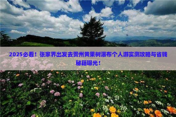 张家界去贵州黄果树瀑布个人游