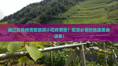 通辽到贵州贵阳旅游小吃