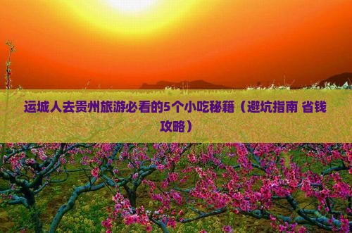 运城去贵州旅游小吃