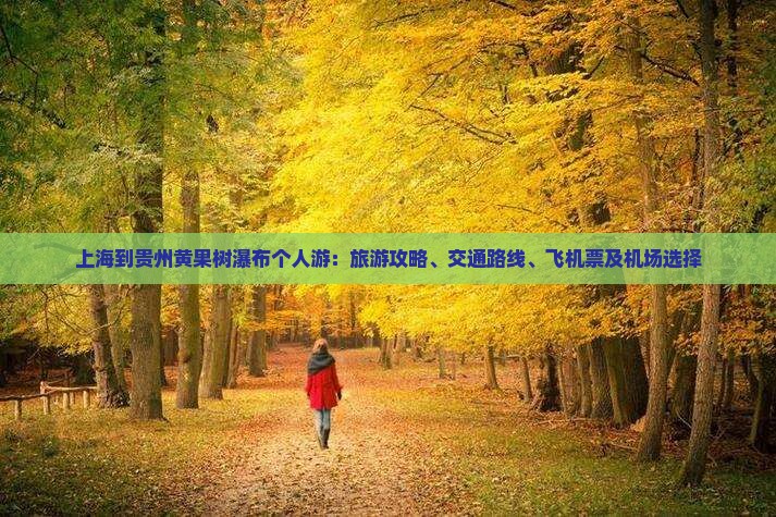 上海到贵州黄果树瀑布个人游