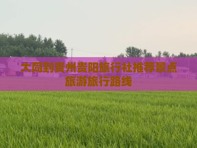 大同到贵州贵阳旅行社