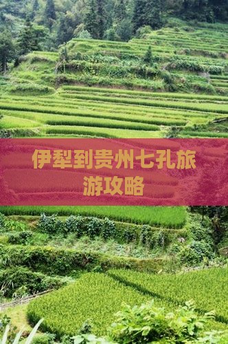 伊犁去贵州小七孔景点