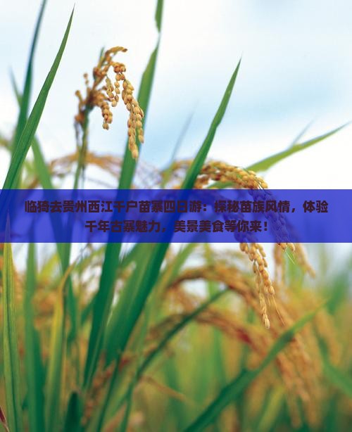临猗去贵州西江千户苗寨四日游