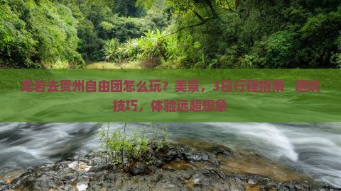 龙岩去贵州自由团