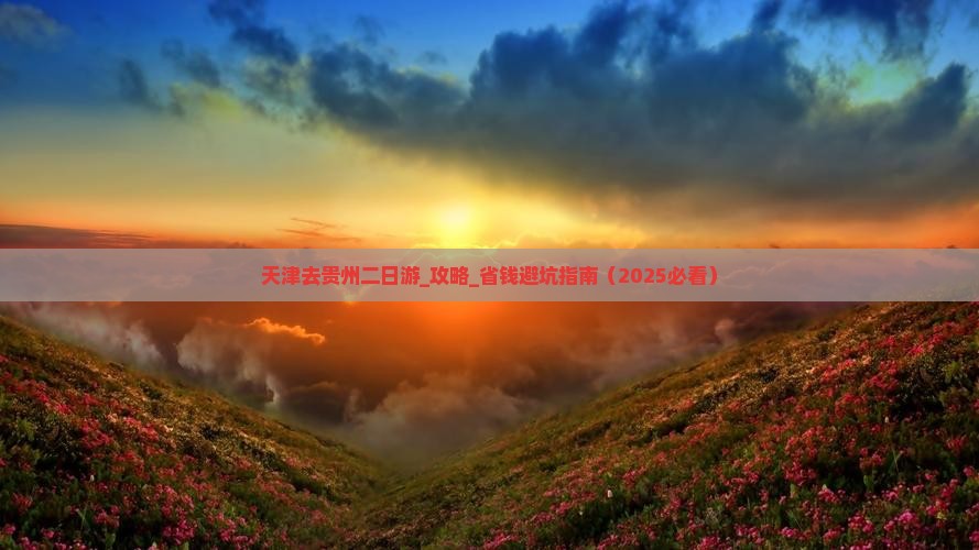 天津去贵州二日游