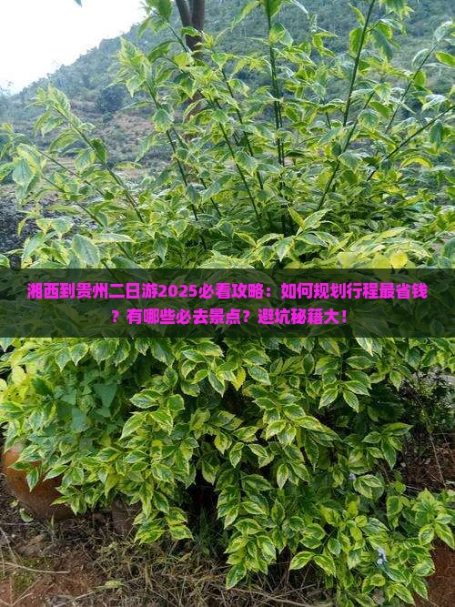 湘西到贵州二日游