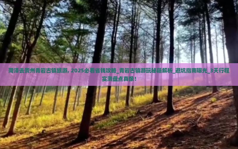 菏泽去贵州青岩古镇旅游