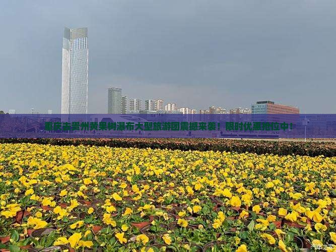 重庆去贵州黄果树瀑布大型旅游团