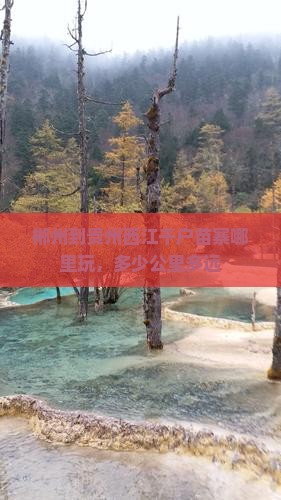 郴州到贵州西江千户苗寨哪里玩