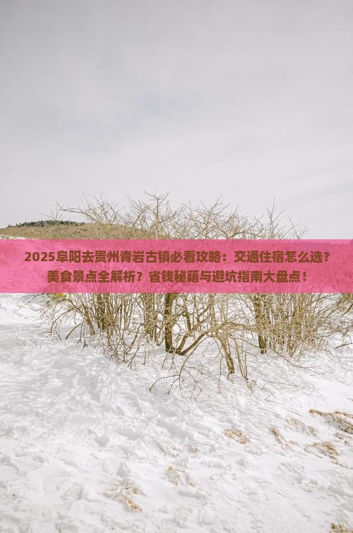 阜阳去贵州青岩古镇必去地