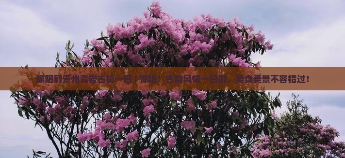 绵阳到贵州青岩古镇一日