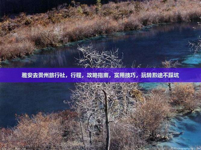 雅安去贵州旅行社