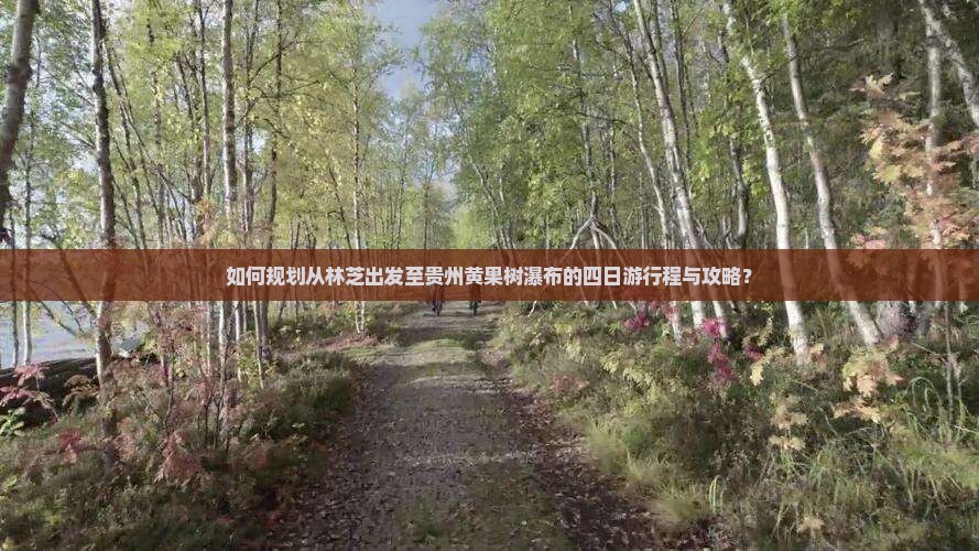 如何规划从林芝出发至贵州黄果树瀑布的四日游行程与攻略？