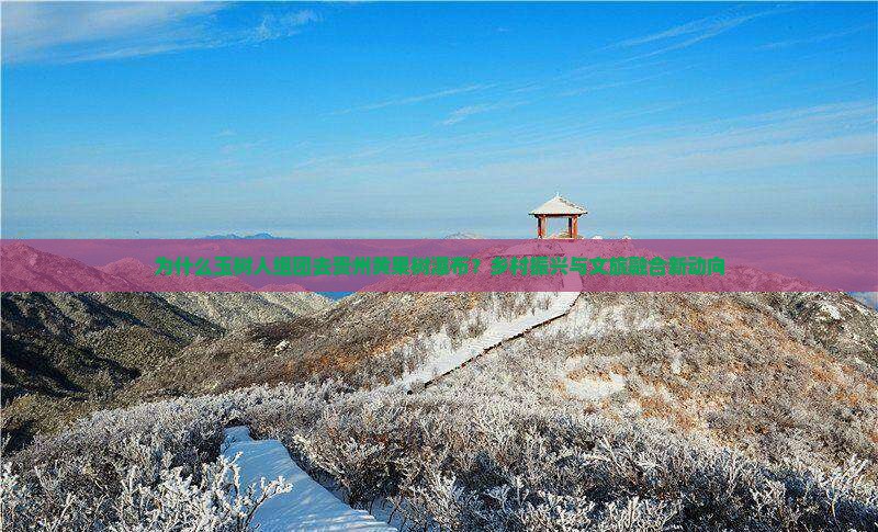 为什么玉树人组团去贵州黄果树瀑布？乡村振兴与文旅融合新动向