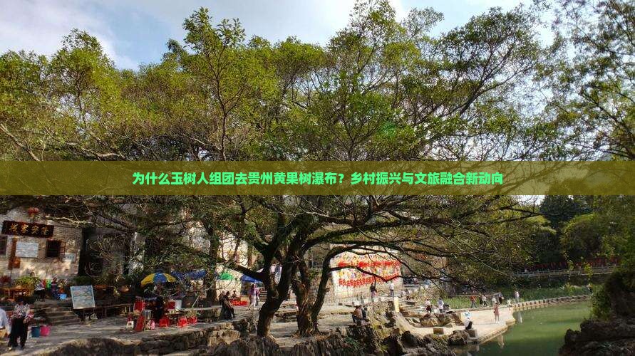 为什么玉树人组团去贵州黄果树瀑布？乡村振兴与文旅融合新动向