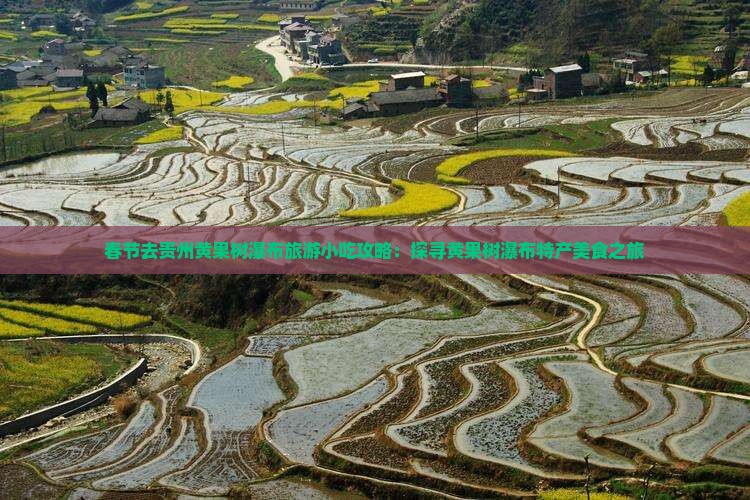 春节去贵州黄果树瀑布旅游小吃攻略：探寻黄果树瀑布特产美食之旅