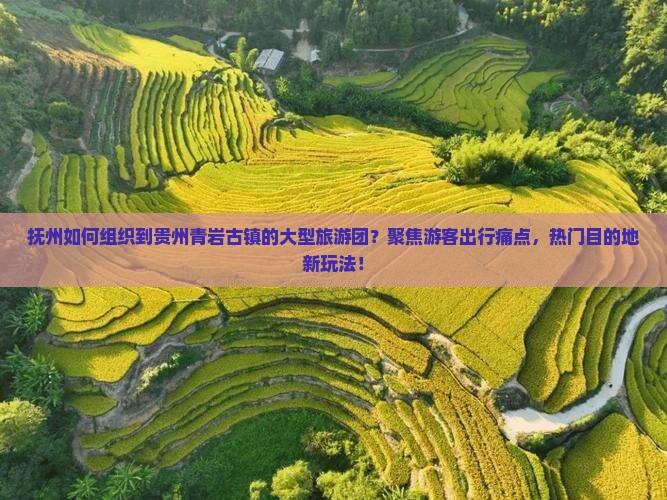 抚州如何组织到贵州青岩古镇的大型旅游团？聚焦游客出行痛点，热门目的地新玩法！