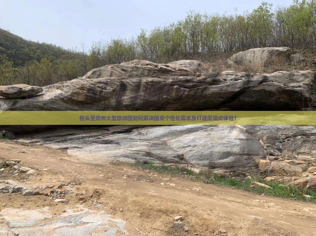 包头至贵州大型旅游团如何解决团员个性化需求及打造沉浸式体验？