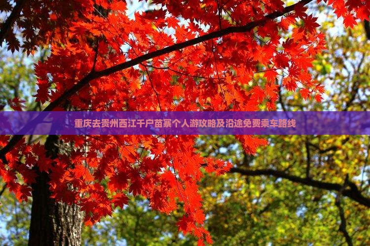 重庆去贵州西江千户苗寨个人游攻略及沿途免费乘车路线