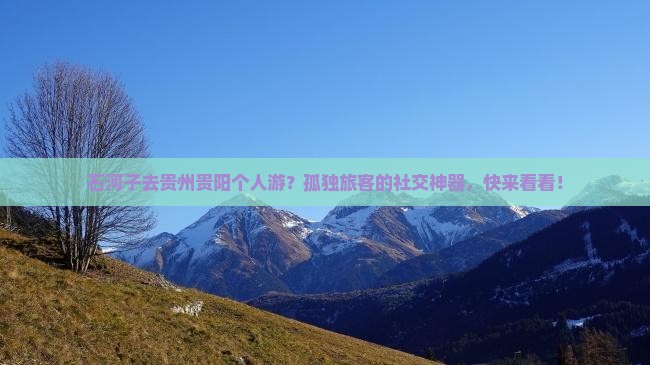 石河子去贵州贵阳个人游？孤独旅客的社交神器，快来看看！