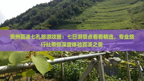 贵州荔波七孔旅游攻略：七日游景点看看精选，专业旅行社带你深度体验荔波之美
