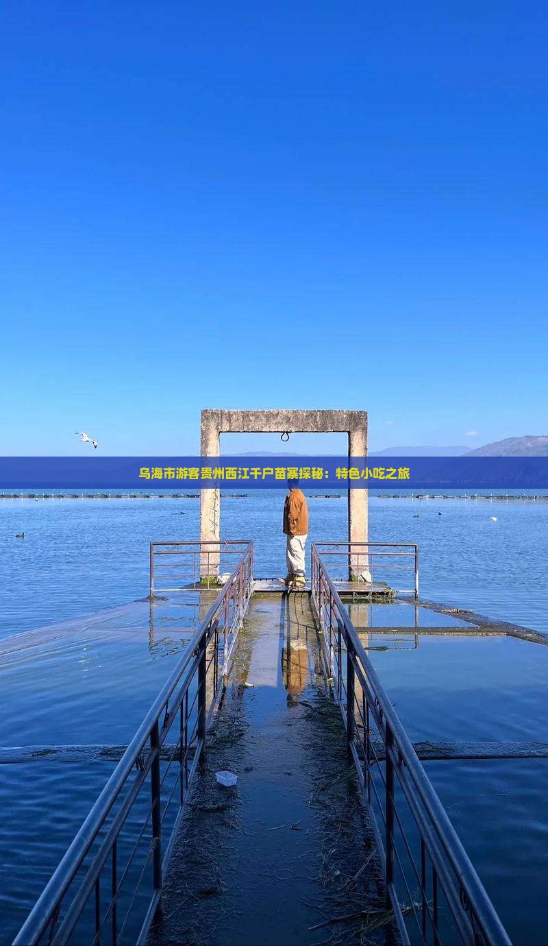乌海市游客贵州西江千户苗寨探秘：特色小吃之旅
