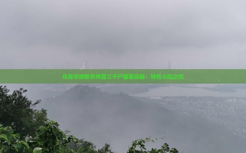 乌海市游客贵州西江千户苗寨探秘：特色小吃之旅
